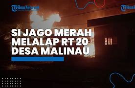 Rtp Jago Merah 88